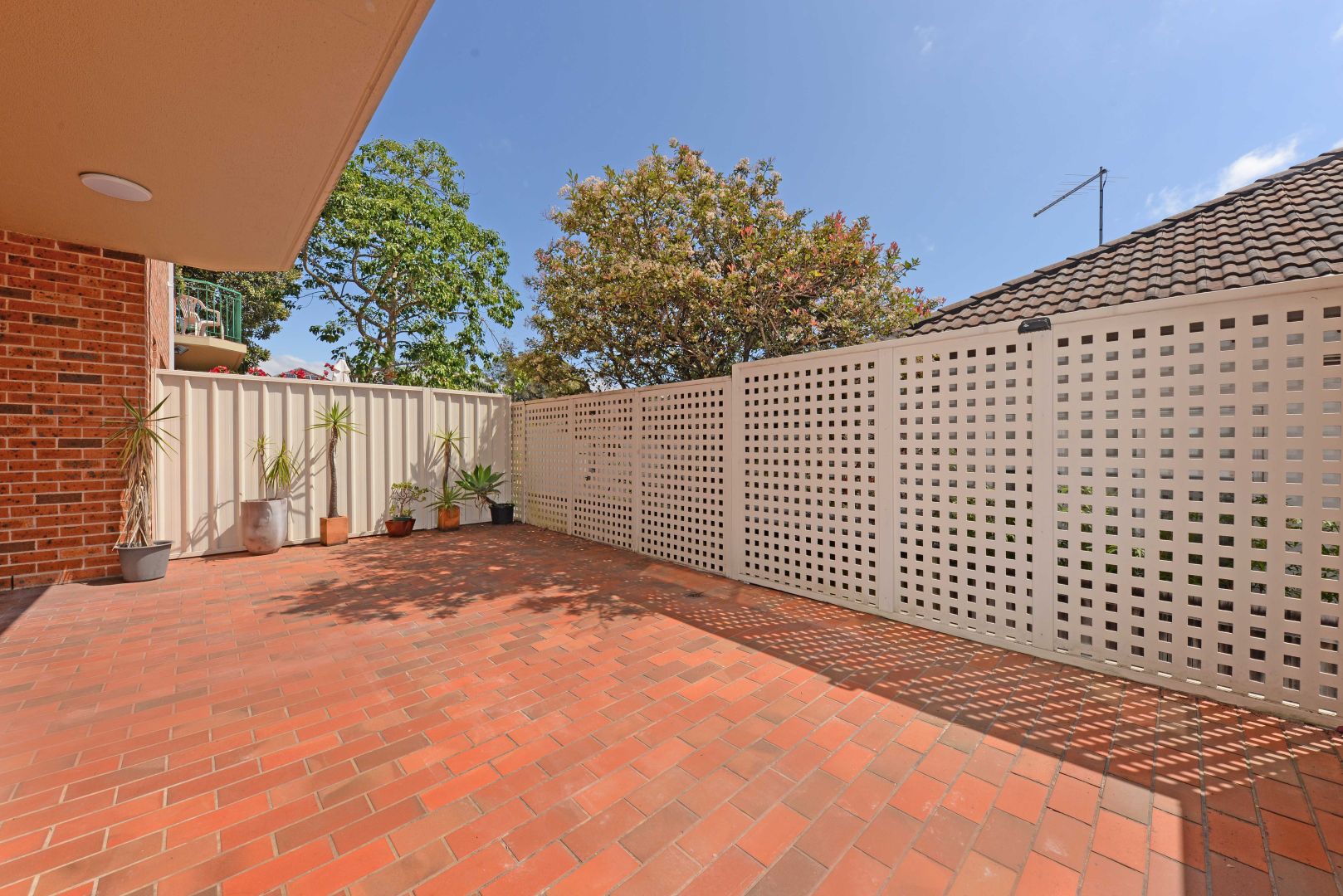 3/66 Mount Street, Coogee NSW 2034, Image 2