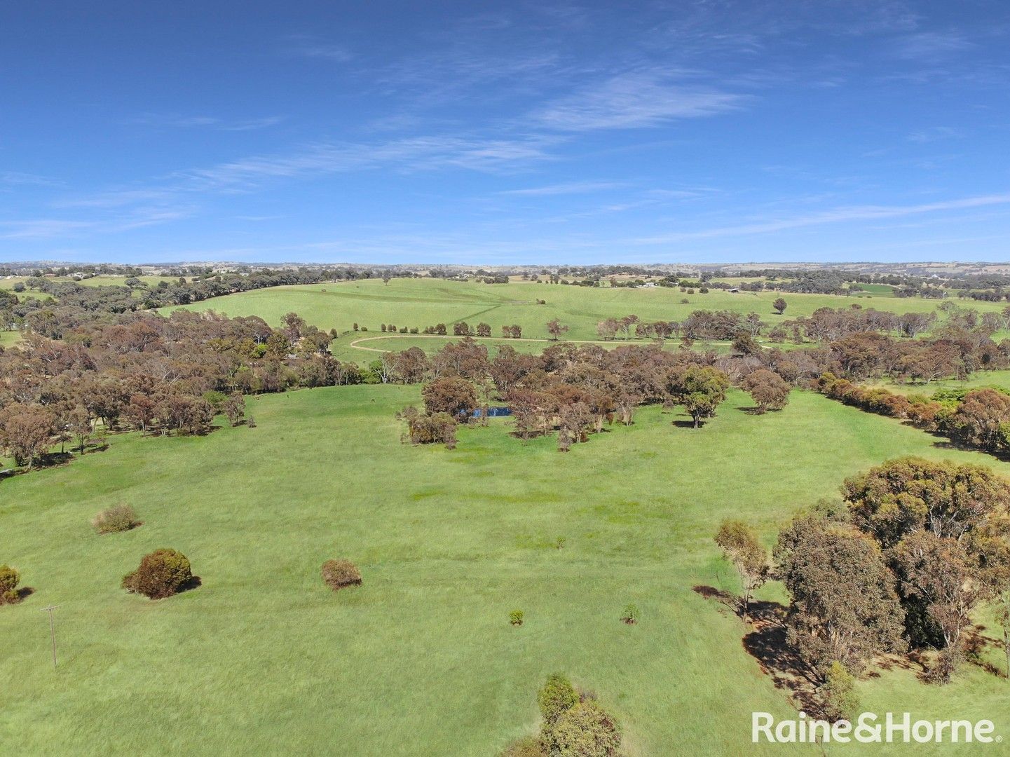 237 Scenic Road, Young NSW 2594, Image 0