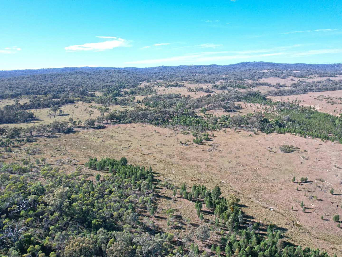 Additional image 10 of Lot 1 Hollybank Road, Inglewood QLD 4387