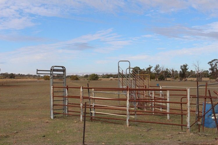 Lot 2,190 Corbie Hill Rd, Leeton NSW 2705, Image 1