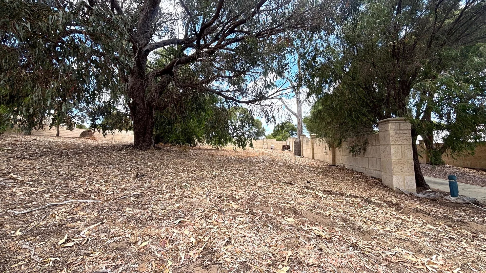 Image 6