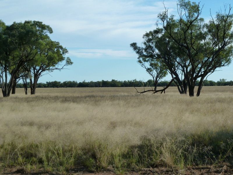 Quilpie QLD 4480, Image 2