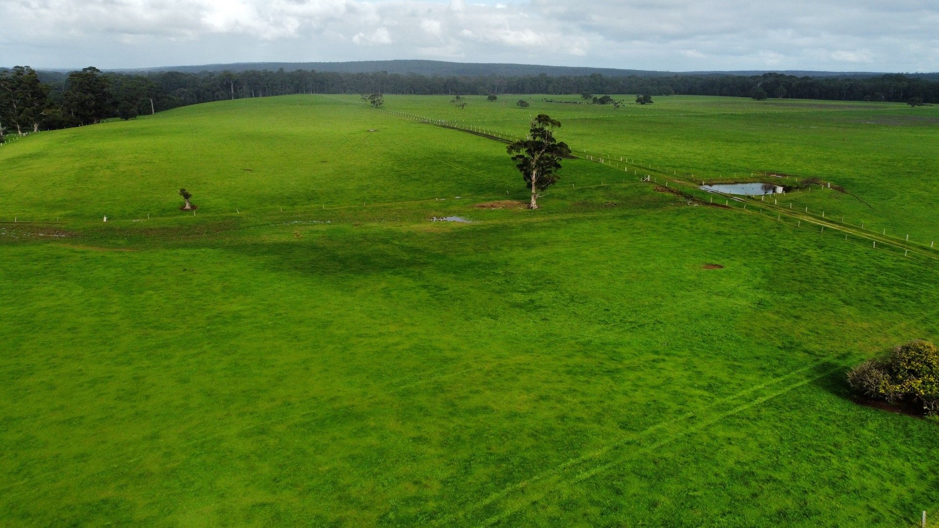 131 Forest Grove Road, Forest Grove WA 6286 House for Sale Domain