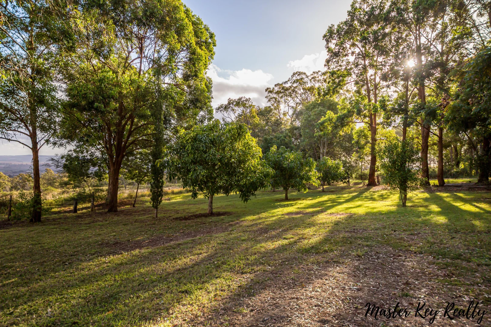 Image 19