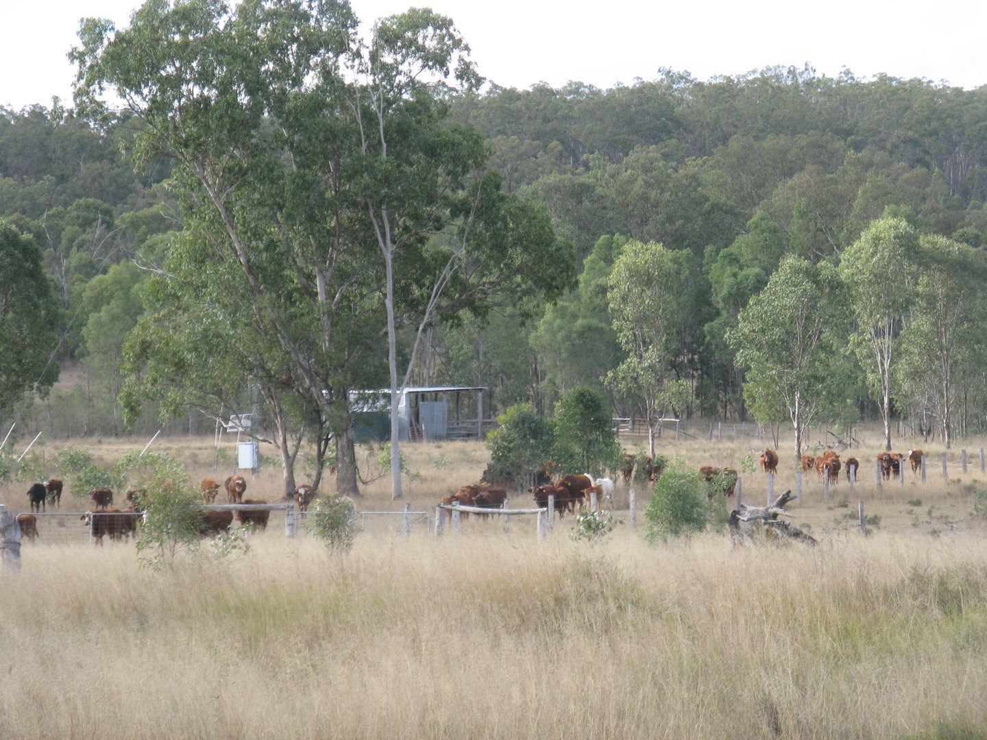 Chinchilla QLD 4413, Image 0