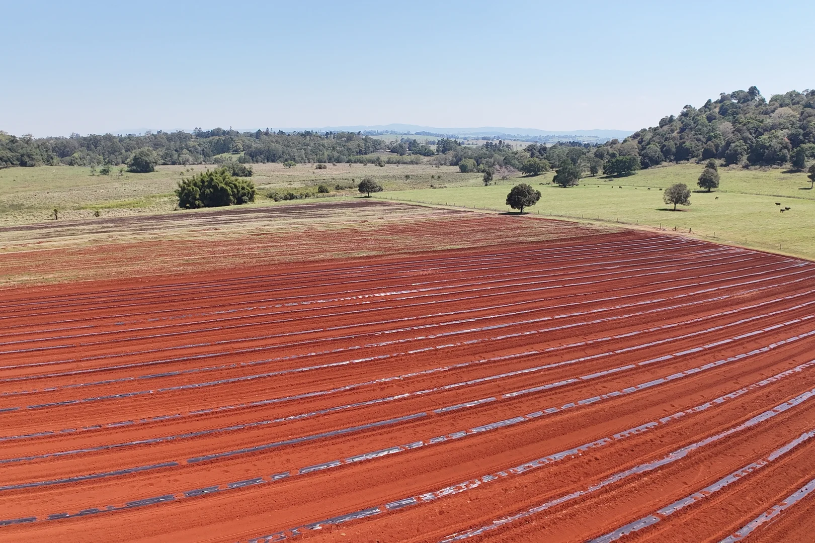 Additional image 22 of 767 Peeramon Road, Peeramon QLD 4885