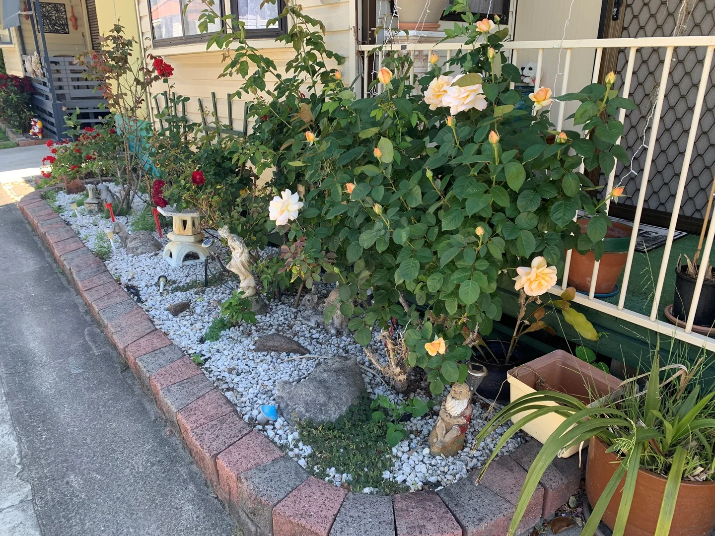 Image 10