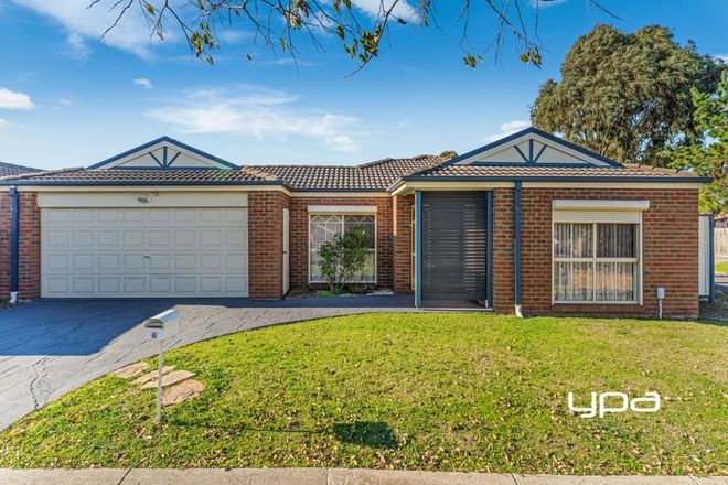 Picture of 6 Sorbonne Drive, SUNBURY VIC 3429