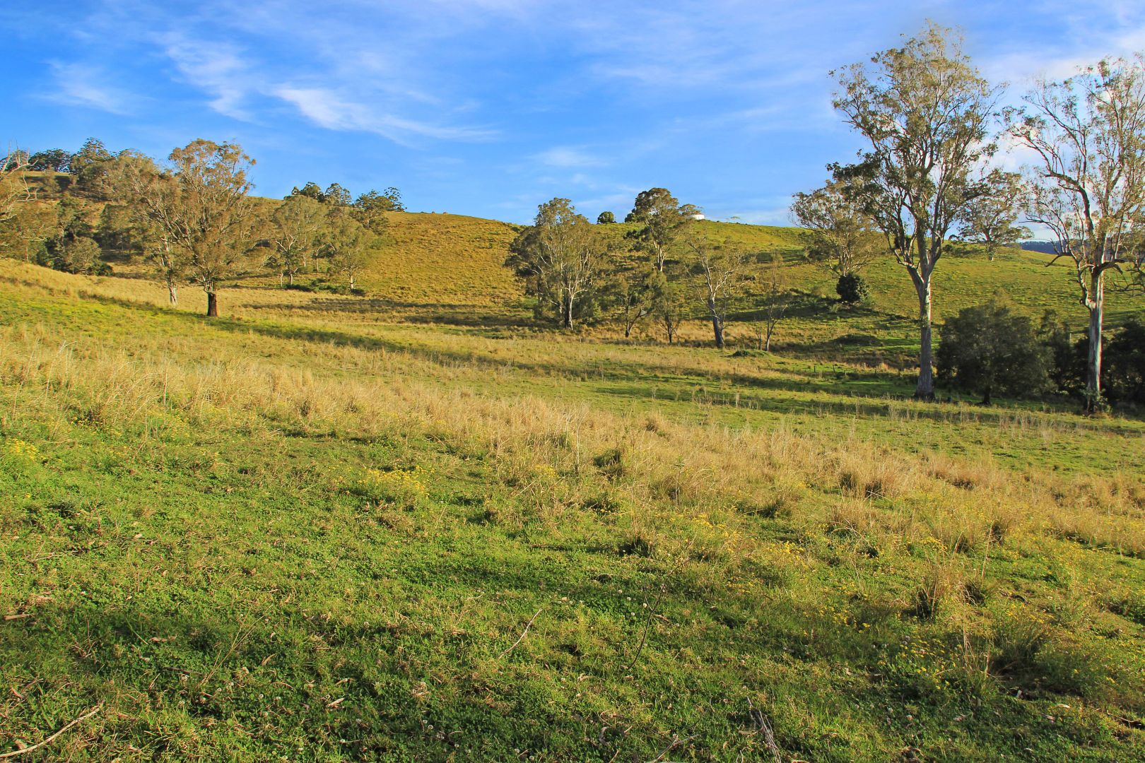 388 Lynches Creek Road, Lynchs Creek NSW 2474 House for Sale 2,000,000