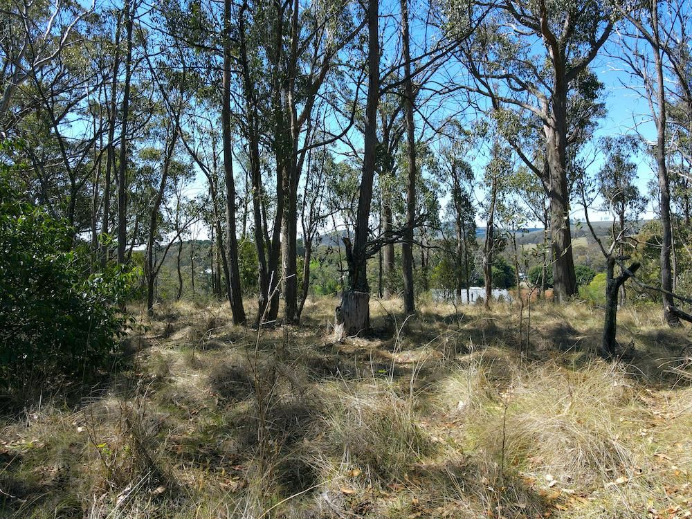 Hanging Rock NSW 2340, Image 2