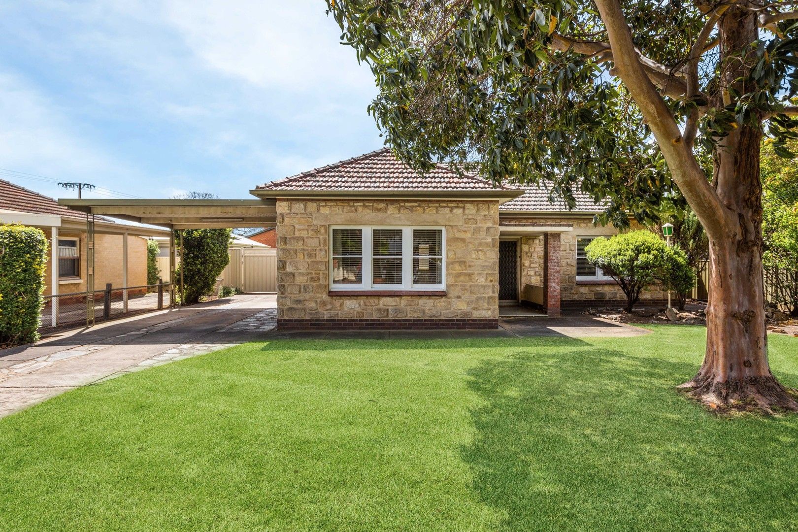 51 Maxwell Avenue, Edwardstown SA 5039, Image 0