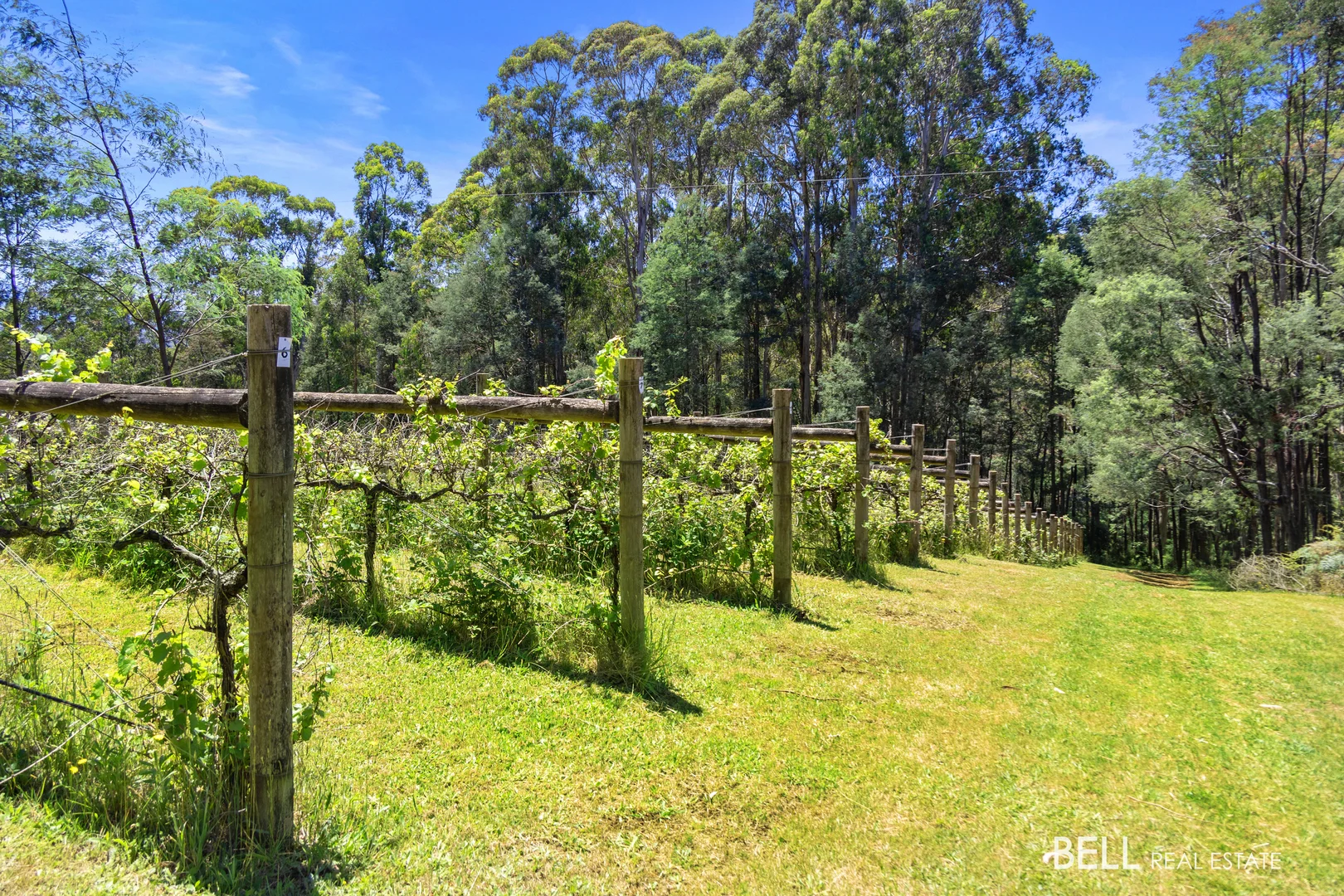 Additional image 9 of 795 Gembrook-Launching Place Road, Hoddles Creek VIC 3139
