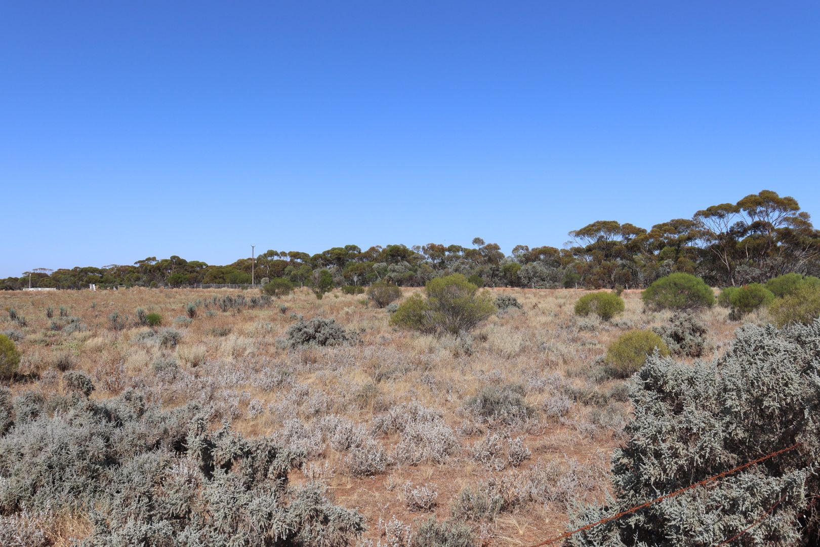 Lot 2 Hunt Road, Barmera SA 5345, Image 1