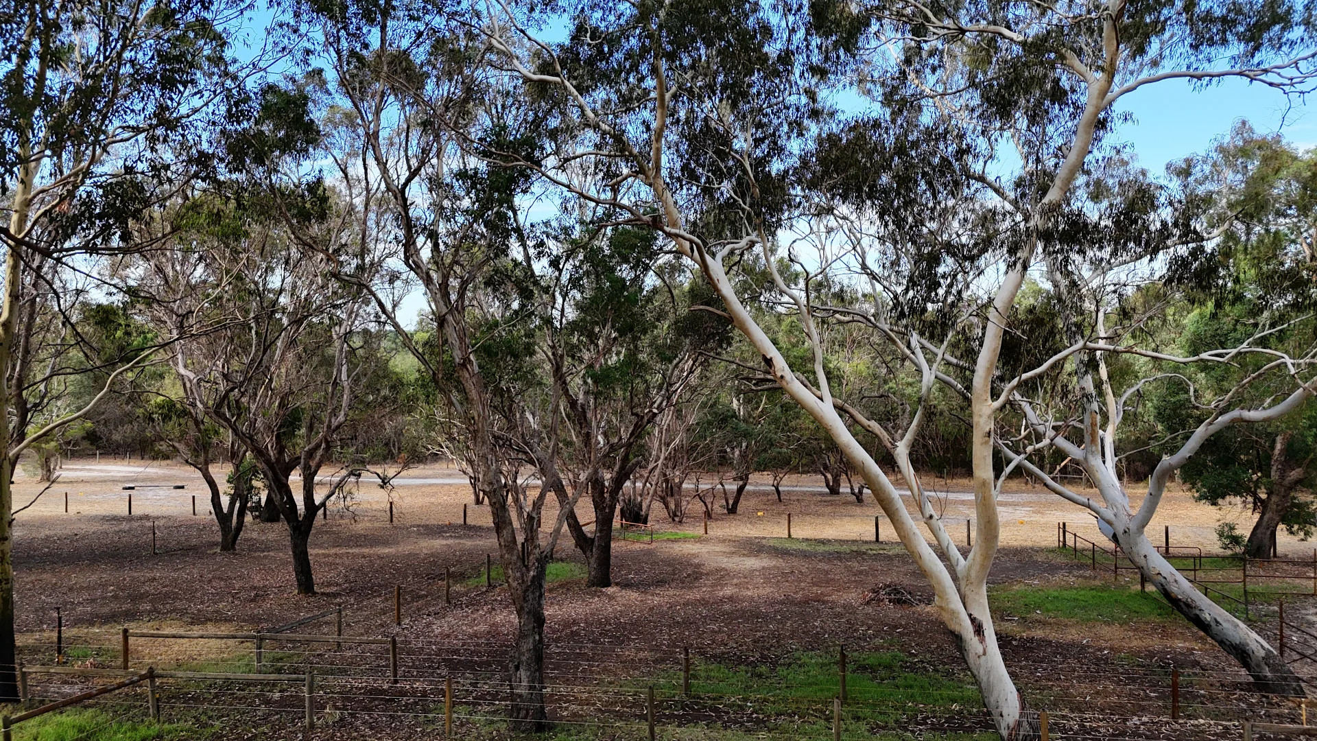 Additional image 7 of 97 Lee-Steere Drive, Mariginiup WA 6078