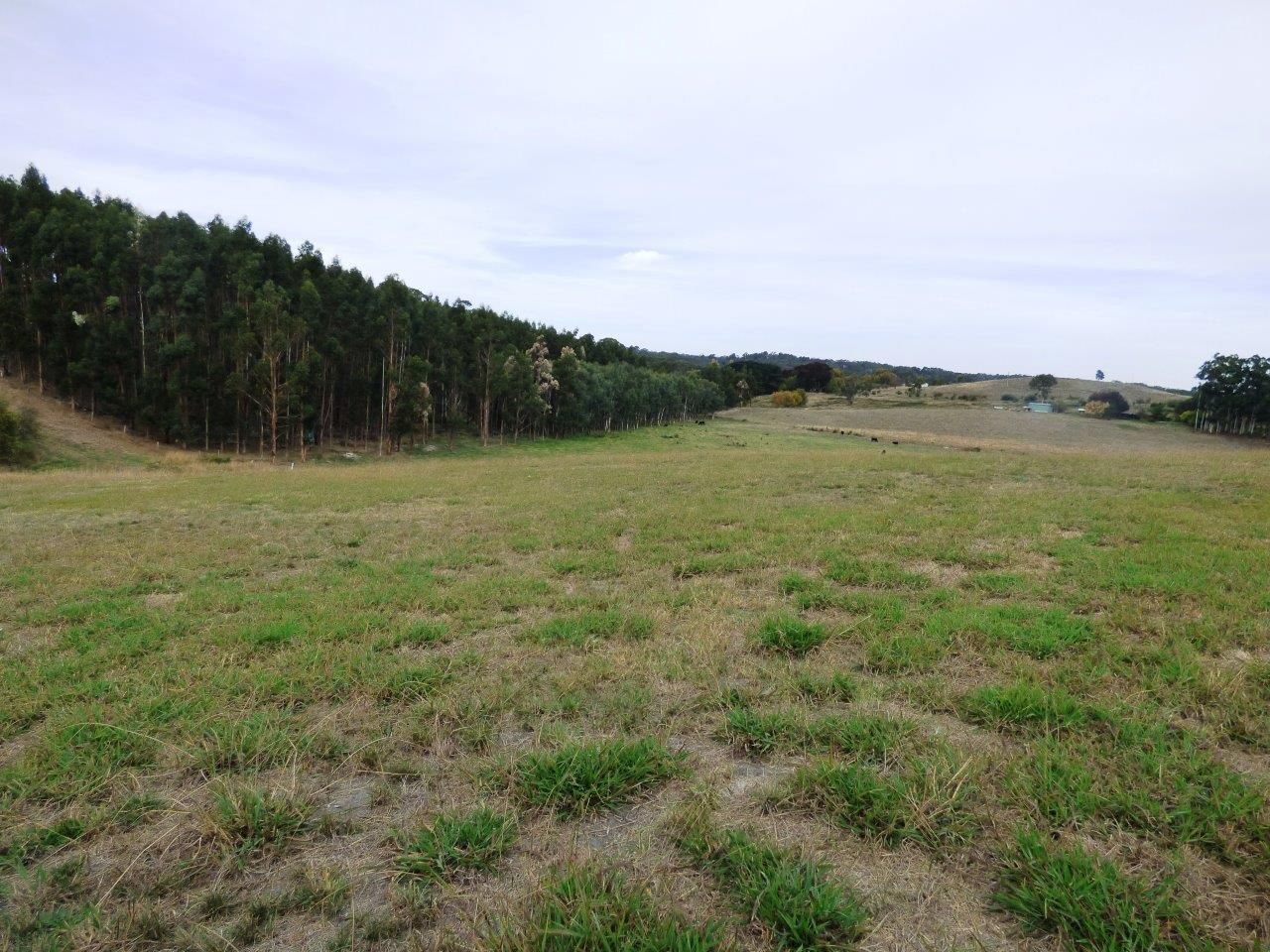 Lot 102 Beaumont Road, Verdun SA 5245, Image 1