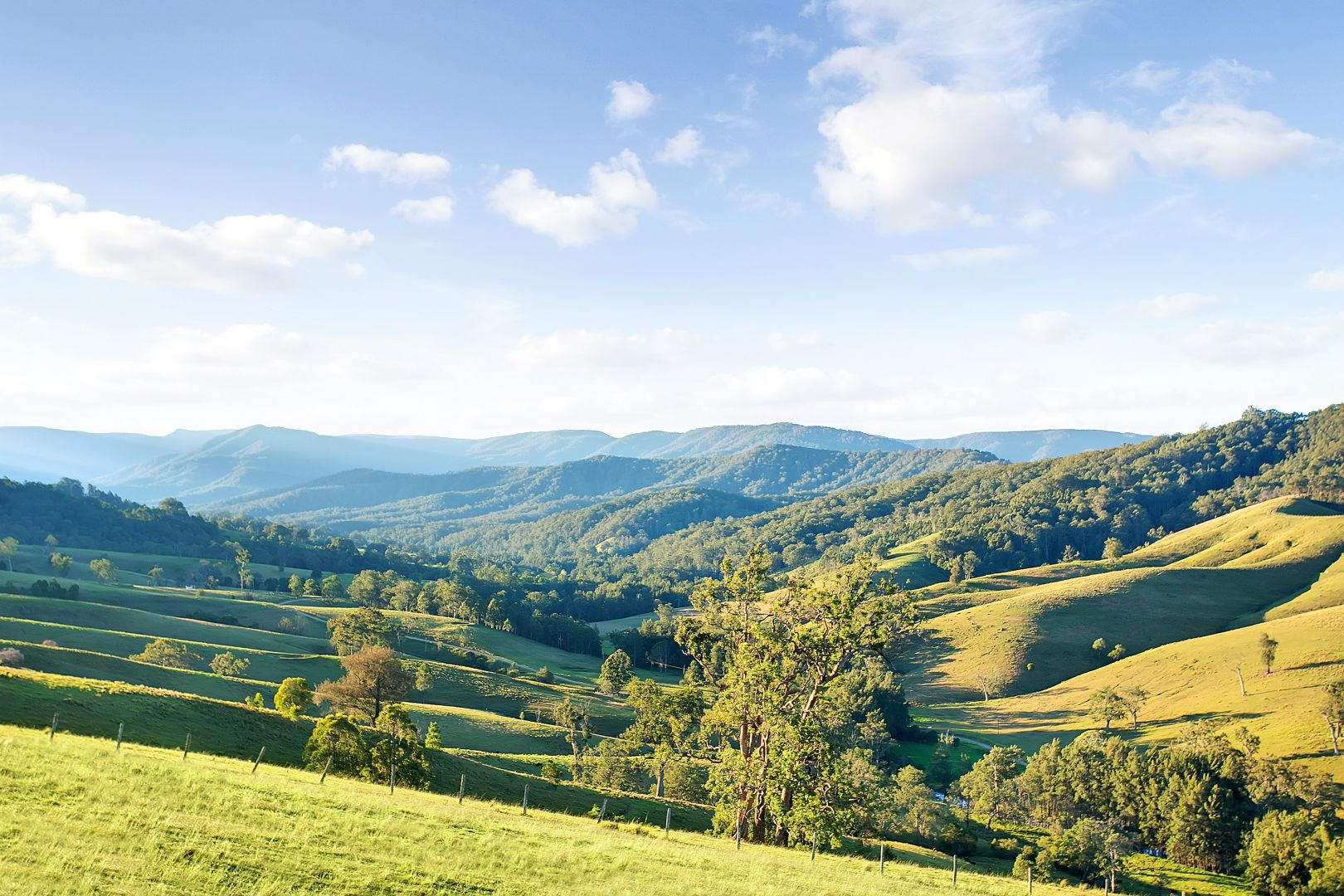 lot 86 Allyn River Road Eccleston via, East Gresford NSW 2311 House