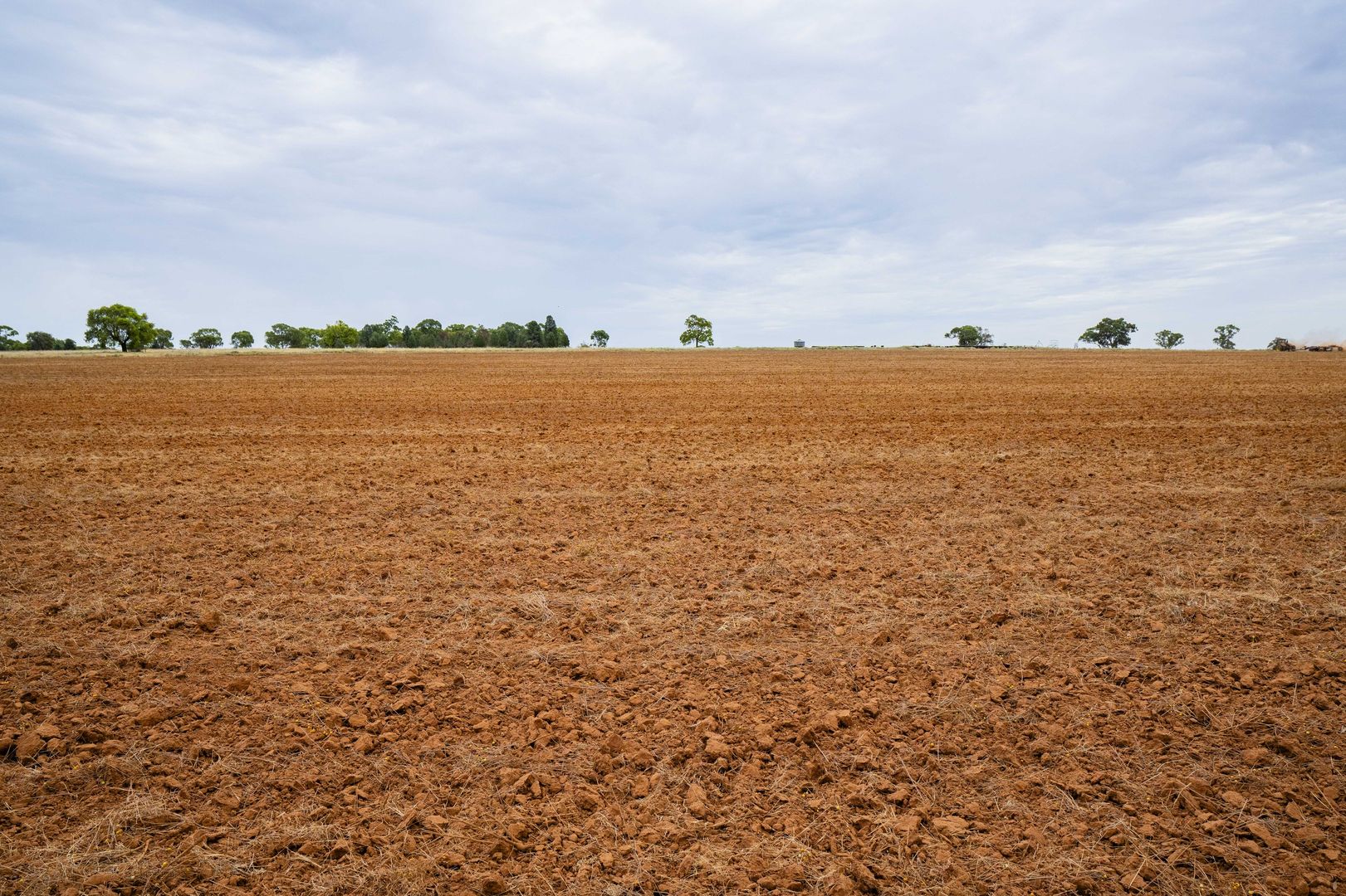 Barellan Road, Narrandera NSW 2700, Image 2