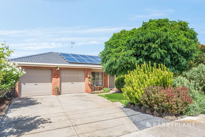 Picture of 51 Greenville Drive, GROVEDALE VIC 3216