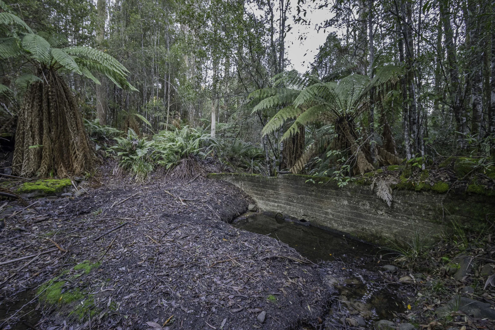 Image 9