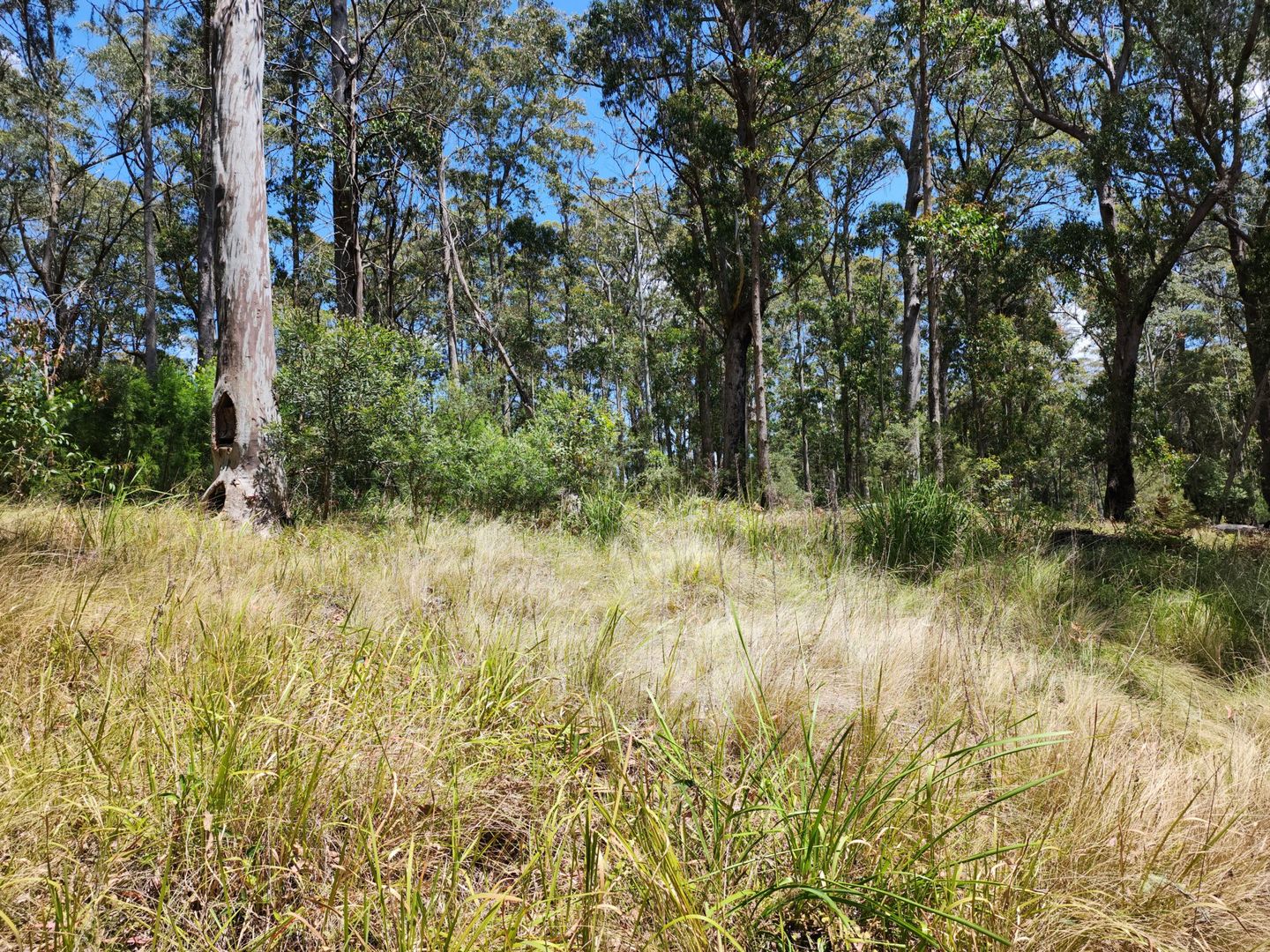 Lot 73 Gambubal Road, Mount Colliery QLD 4370, Image 1