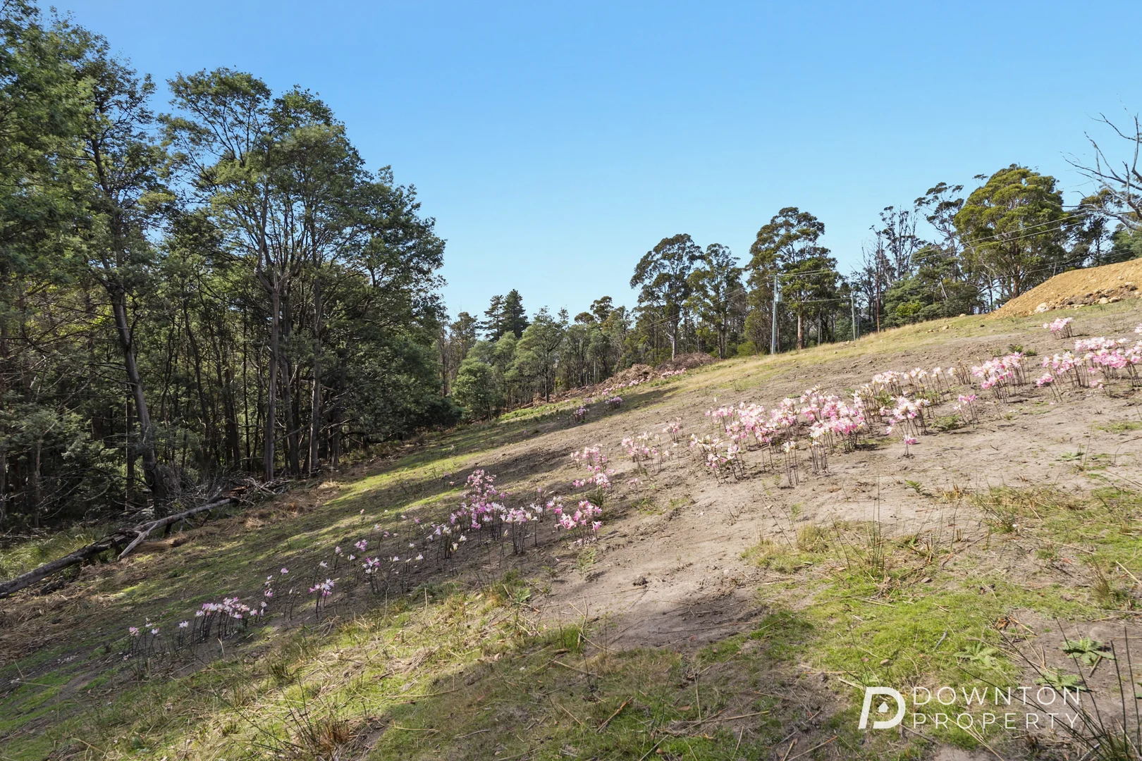 Additional image 17 of 35 Old Farm Road, South Hobart TAS 7004