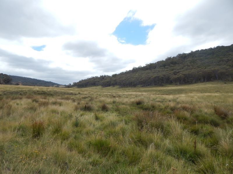 Lot 33/35 Callemondah Road, Shannons Flat NSW 2630, Image 0