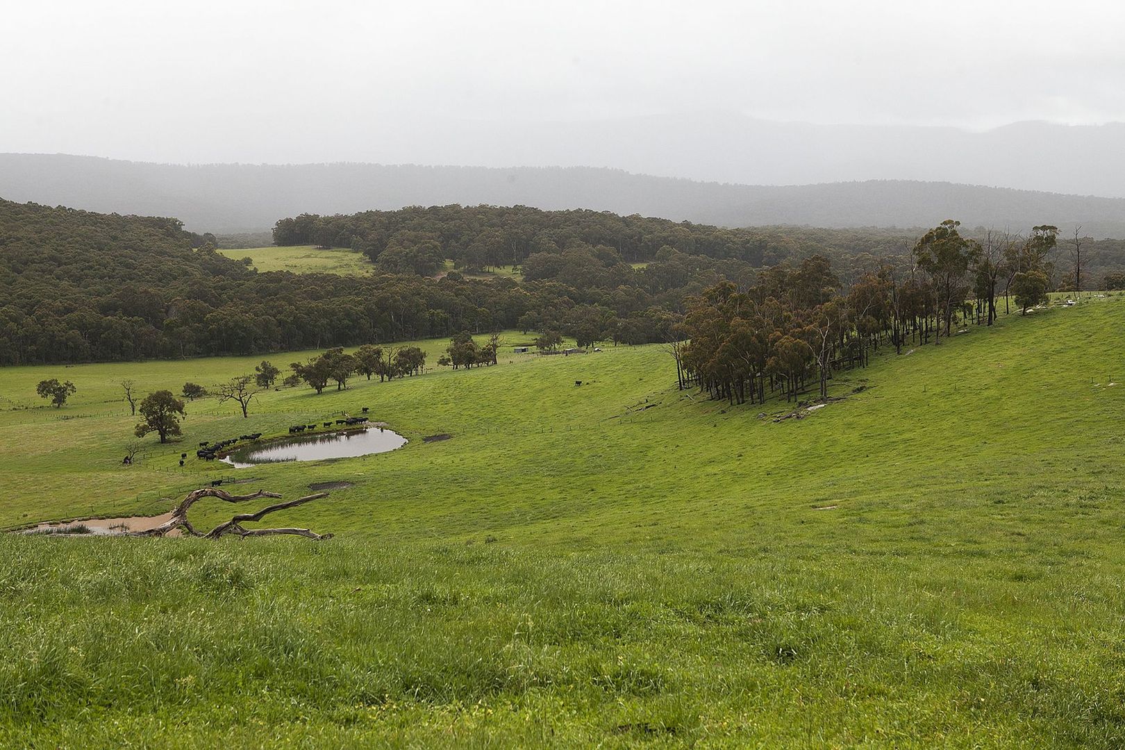 Bunyip North VIC 3815, Image 1