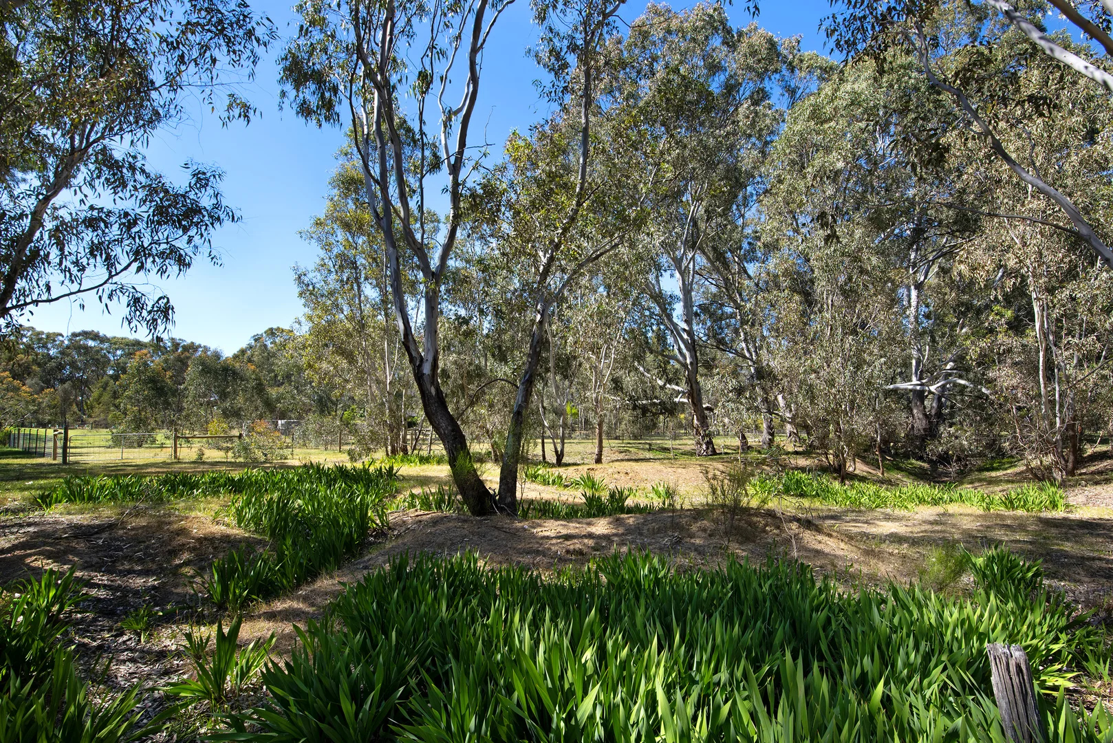 Image 19