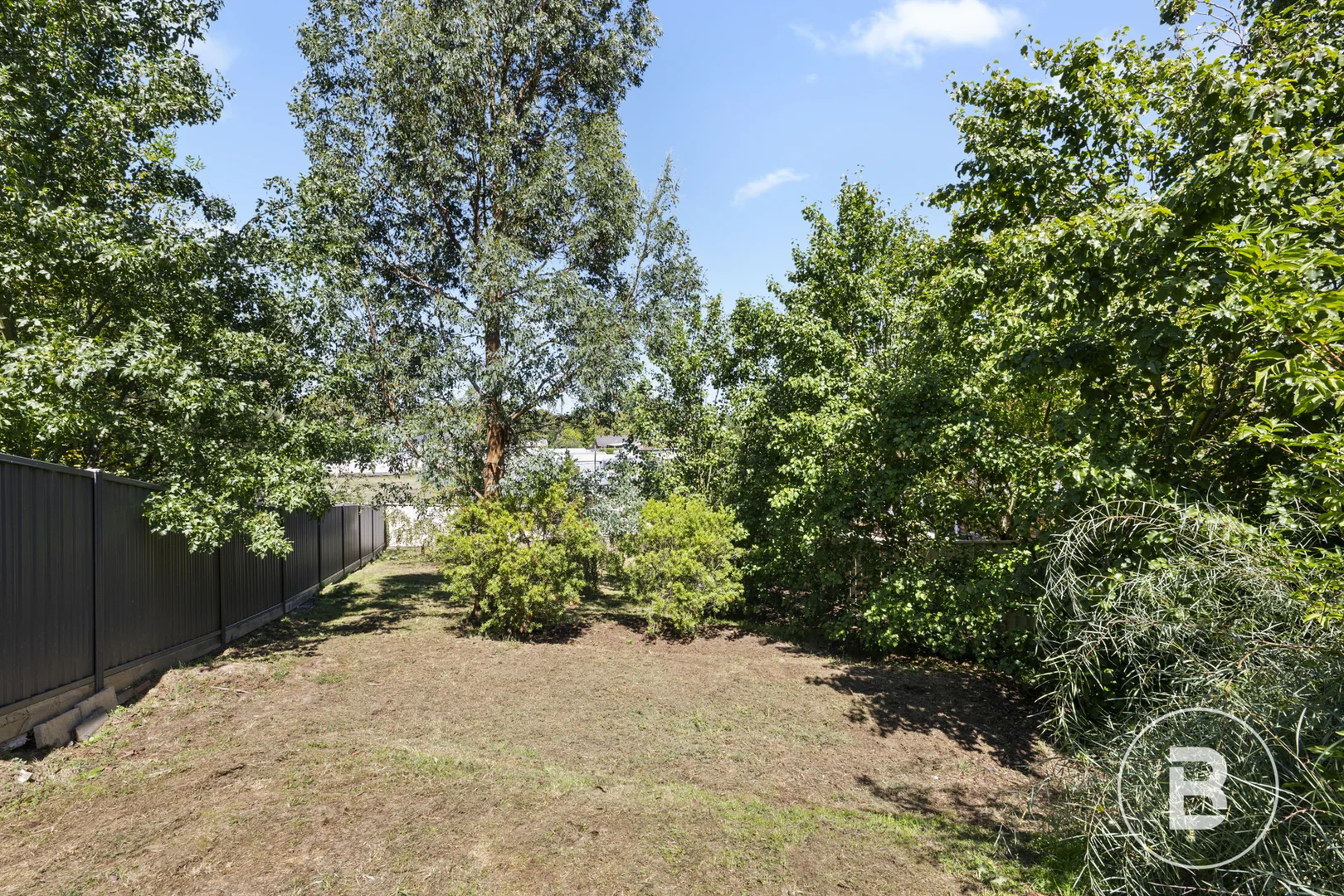 Image 19