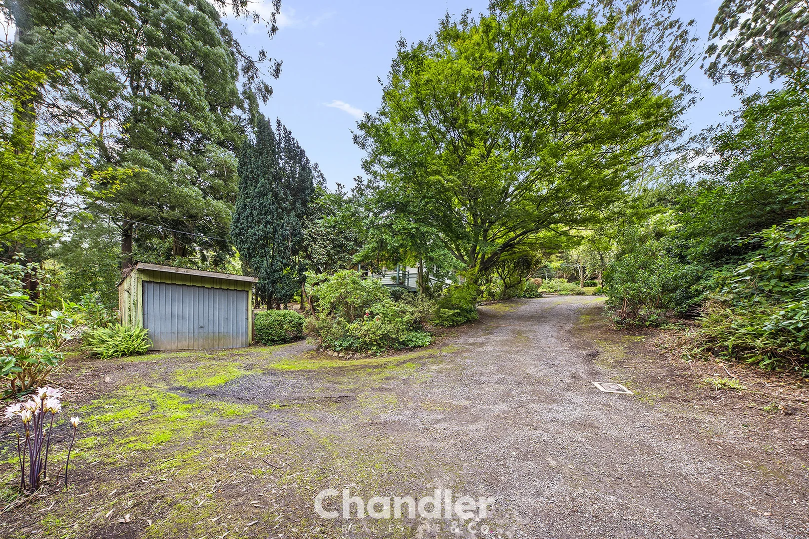 Additional image 17 of 533-535 Mt Dandenong Tourist Road, Olinda VIC 3788