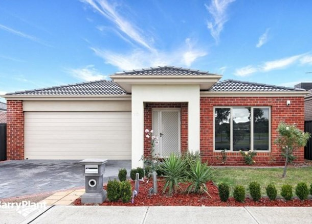 13 Glenbrae Street, Craigieburn VIC 3064