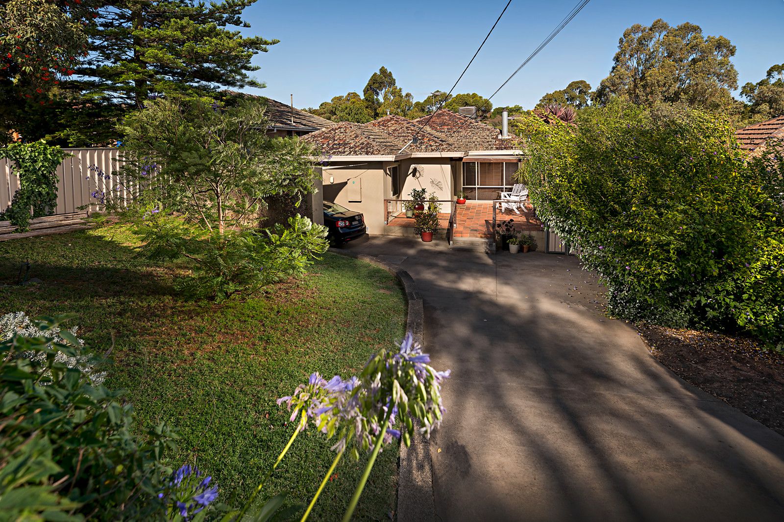 20 Longview Street, Pascoe Vale VIC 3044, Image 0