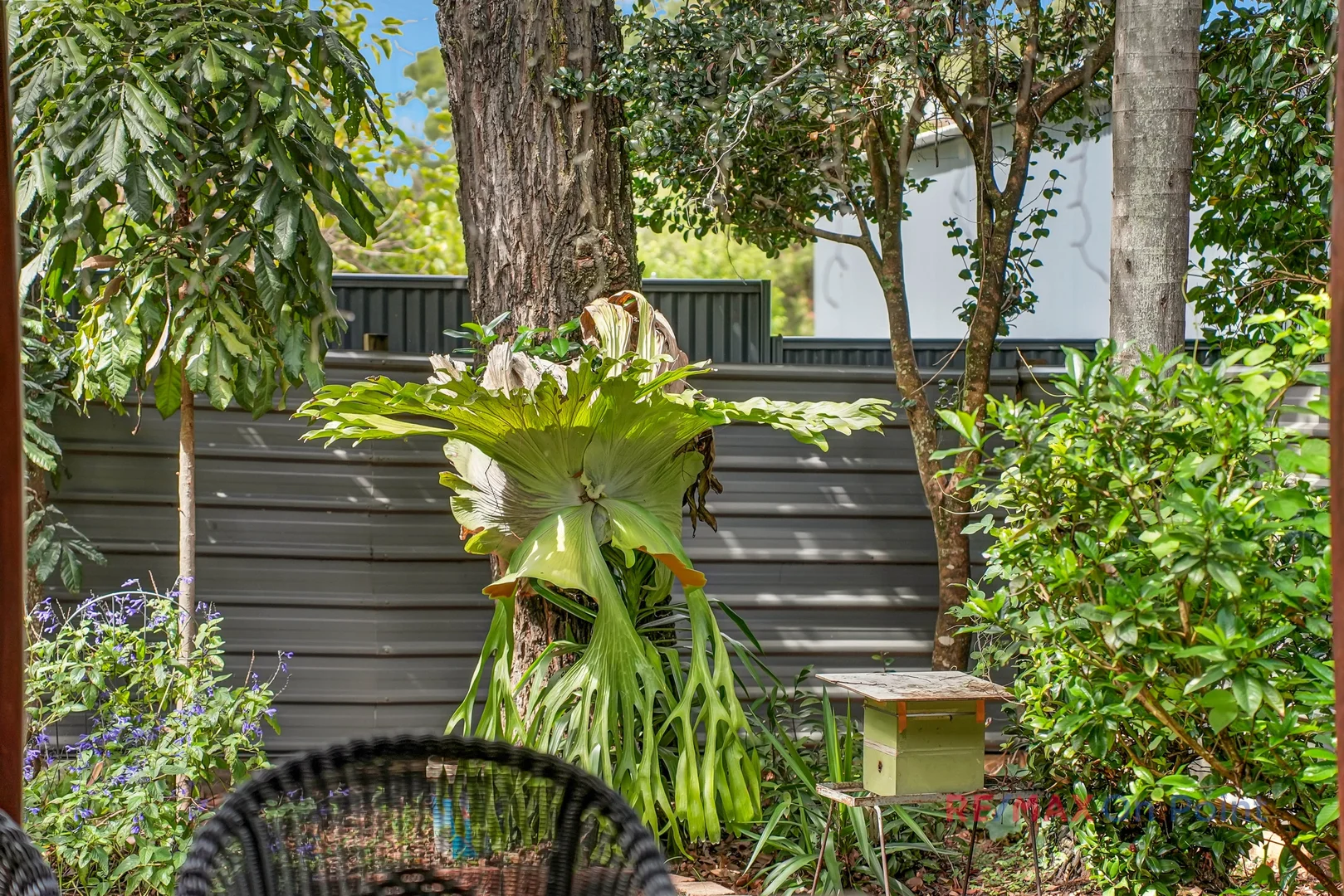 Additional image 35 of 21 Ross Street, Coochiemudlo Island QLD 4184