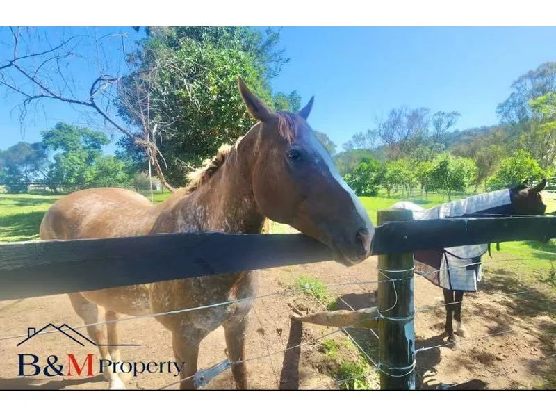 Primary image of 1/575 Wolstenholme Ave, Greendale NSW 2745