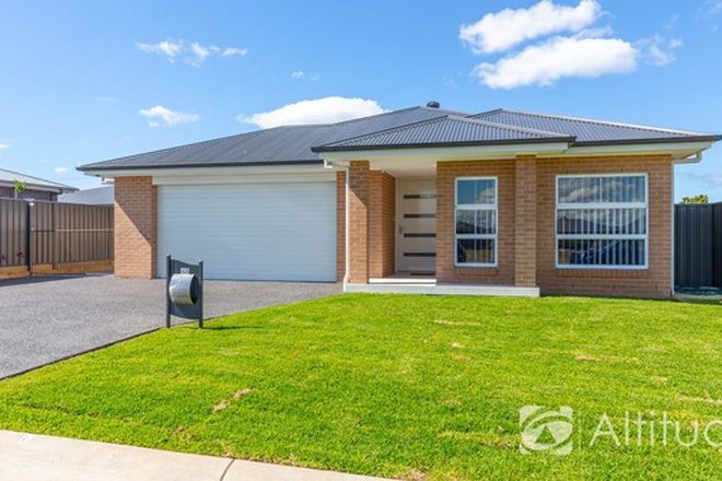 Picture of 42 Lamb Street, BOOLAROO NSW 2284