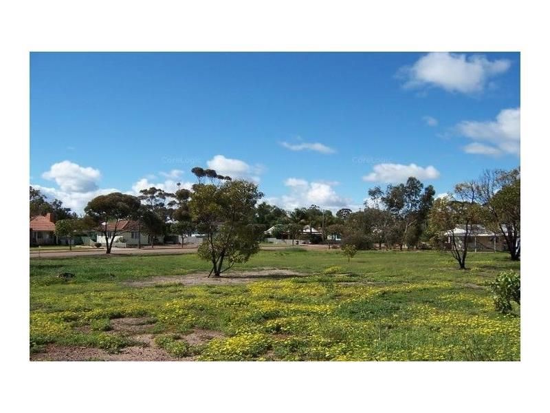 77 Harvey Street, Dumbleyung WA 6350, Image 1