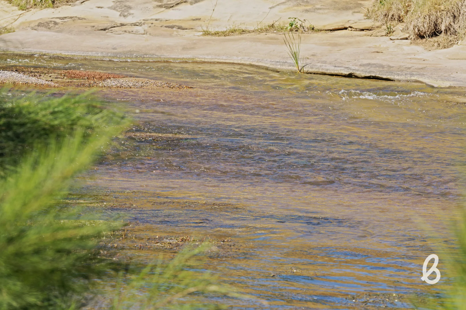 Image 32
