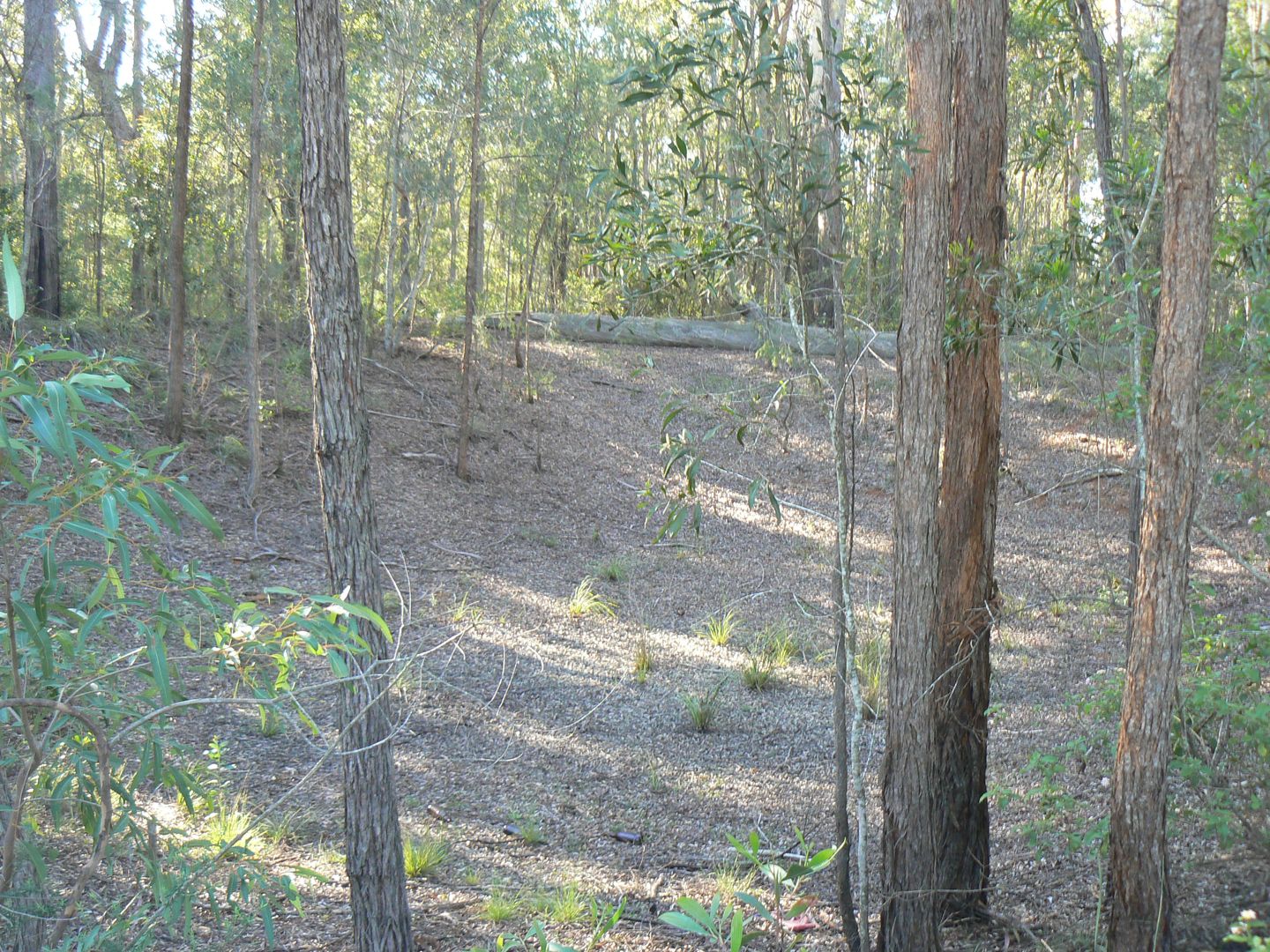 Lot 10 Gibson Road, Benarkin QLD 4314, Image 1