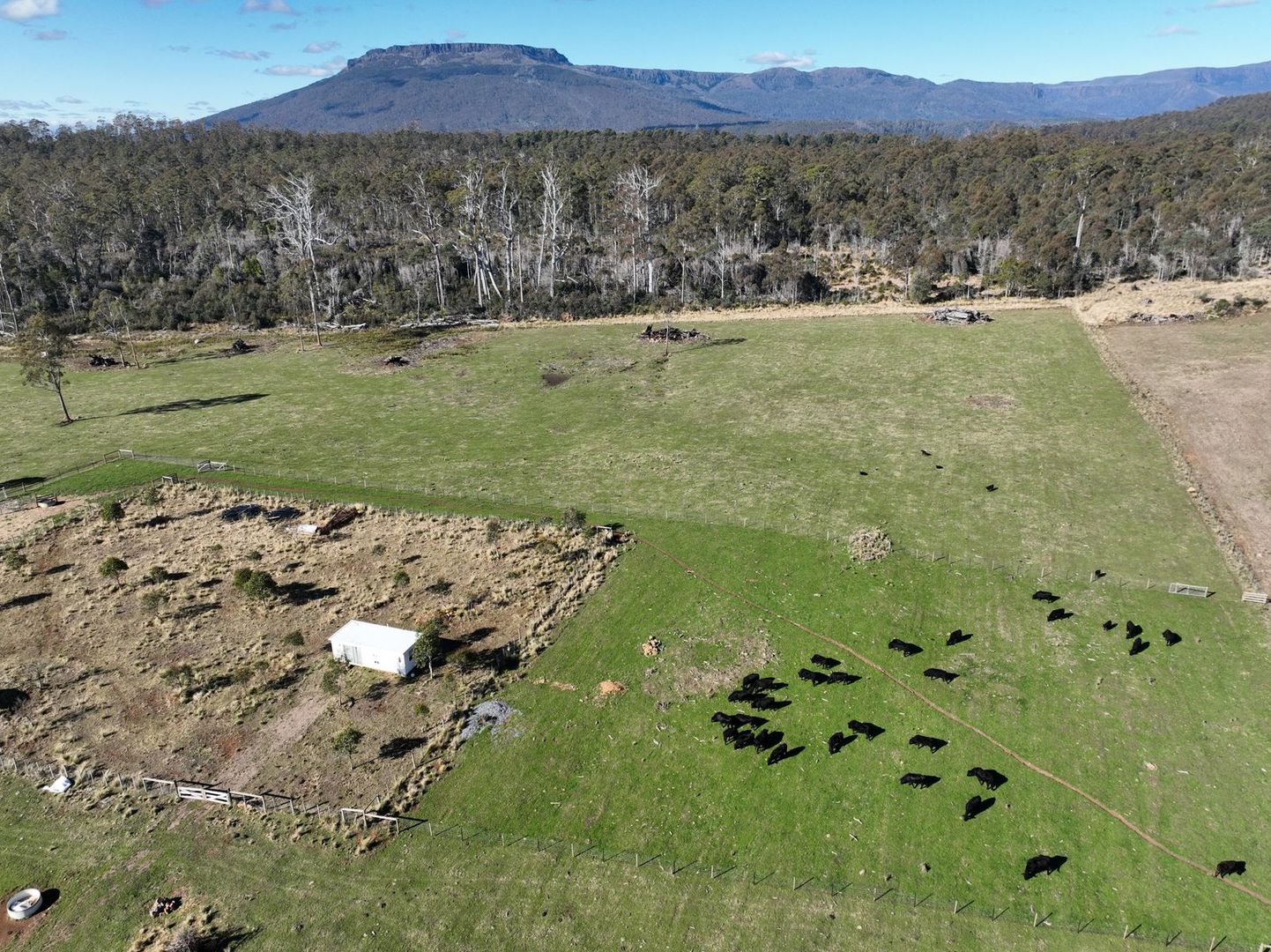 560 Gads Hill Road, Mersey Forest TAS 7304 House for Sale Domain