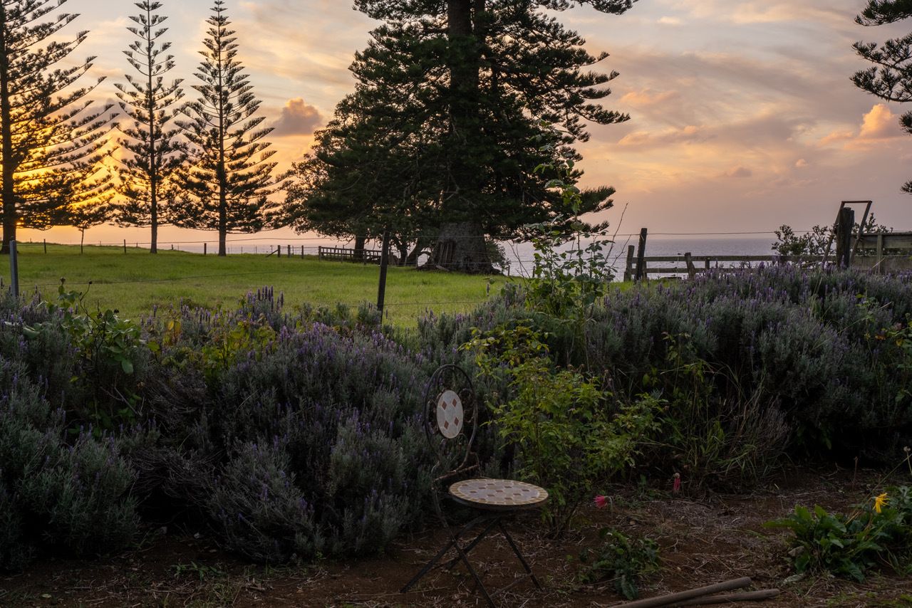 414 Anson Bay Road, Norfolk Island NSW 2899, Image 2