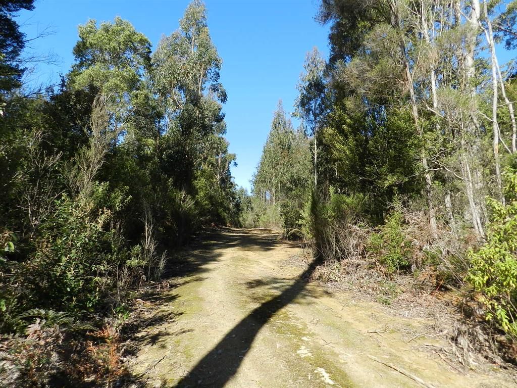 2035 Oldina Road, Yolla TAS 7325, Image 2