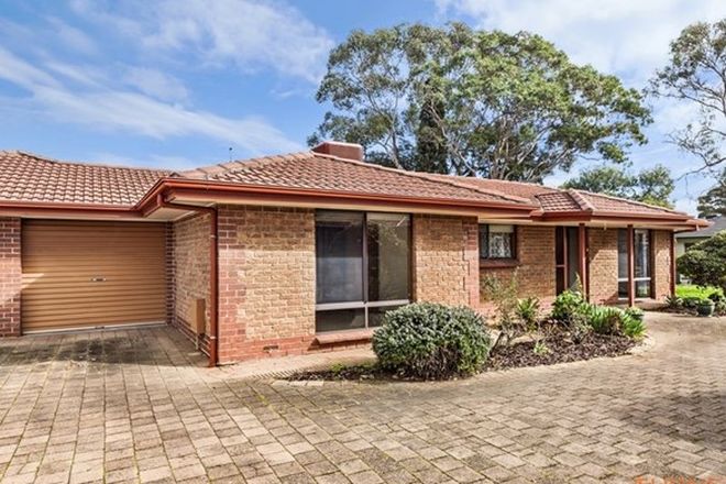 125 Rental Properties In Glengowrie Sa 5044 Domain
