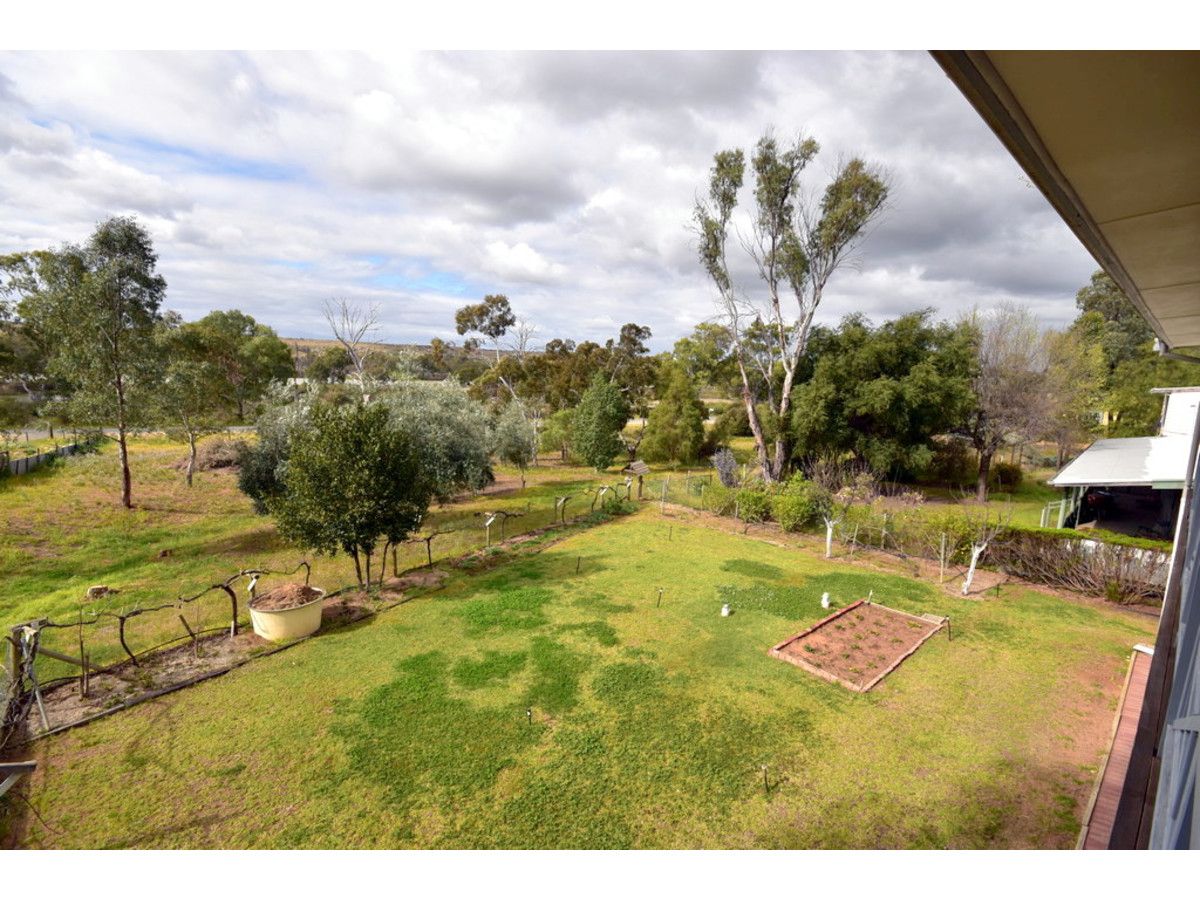 Lot 28 Geehi Place, Younghusband SA 5238 House For Sale Domain