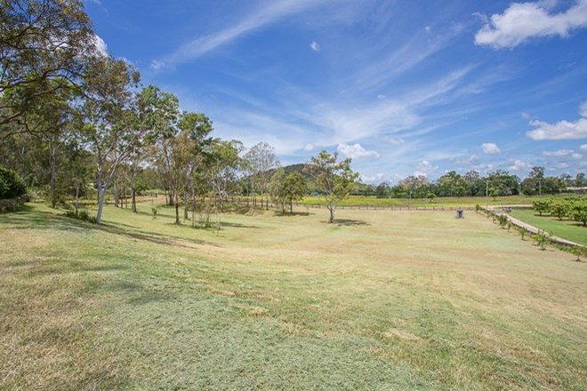 Picture of 29 Sugarloaf Drive, BALNAGOWAN QLD 4740