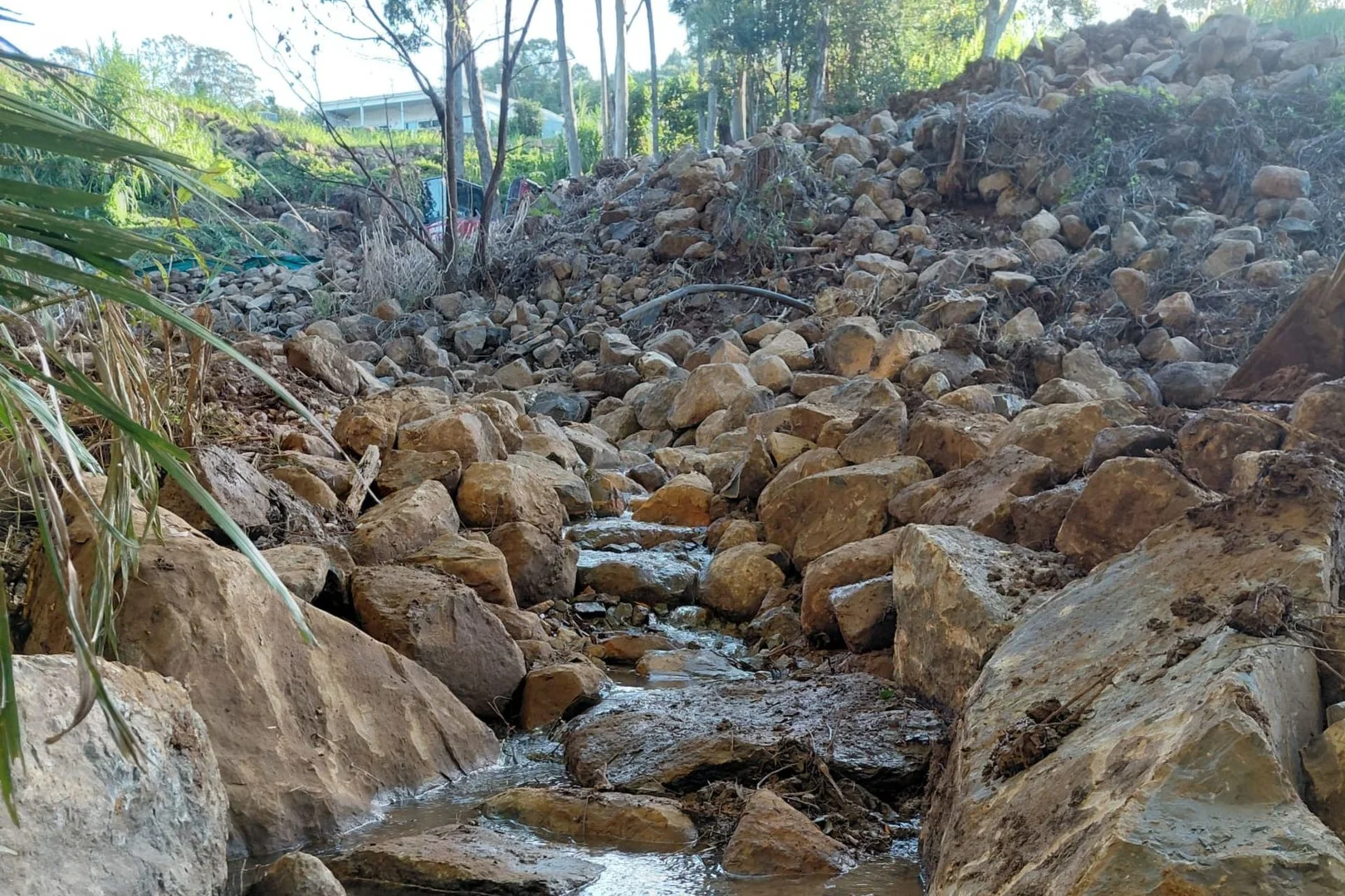 Image 15