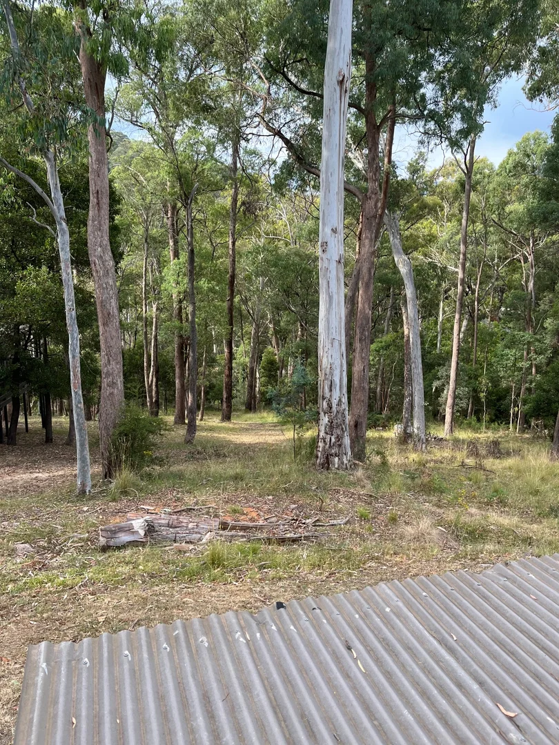 Additional image 6 of 12 Christensen, Sawmill Settlement VIC 3723