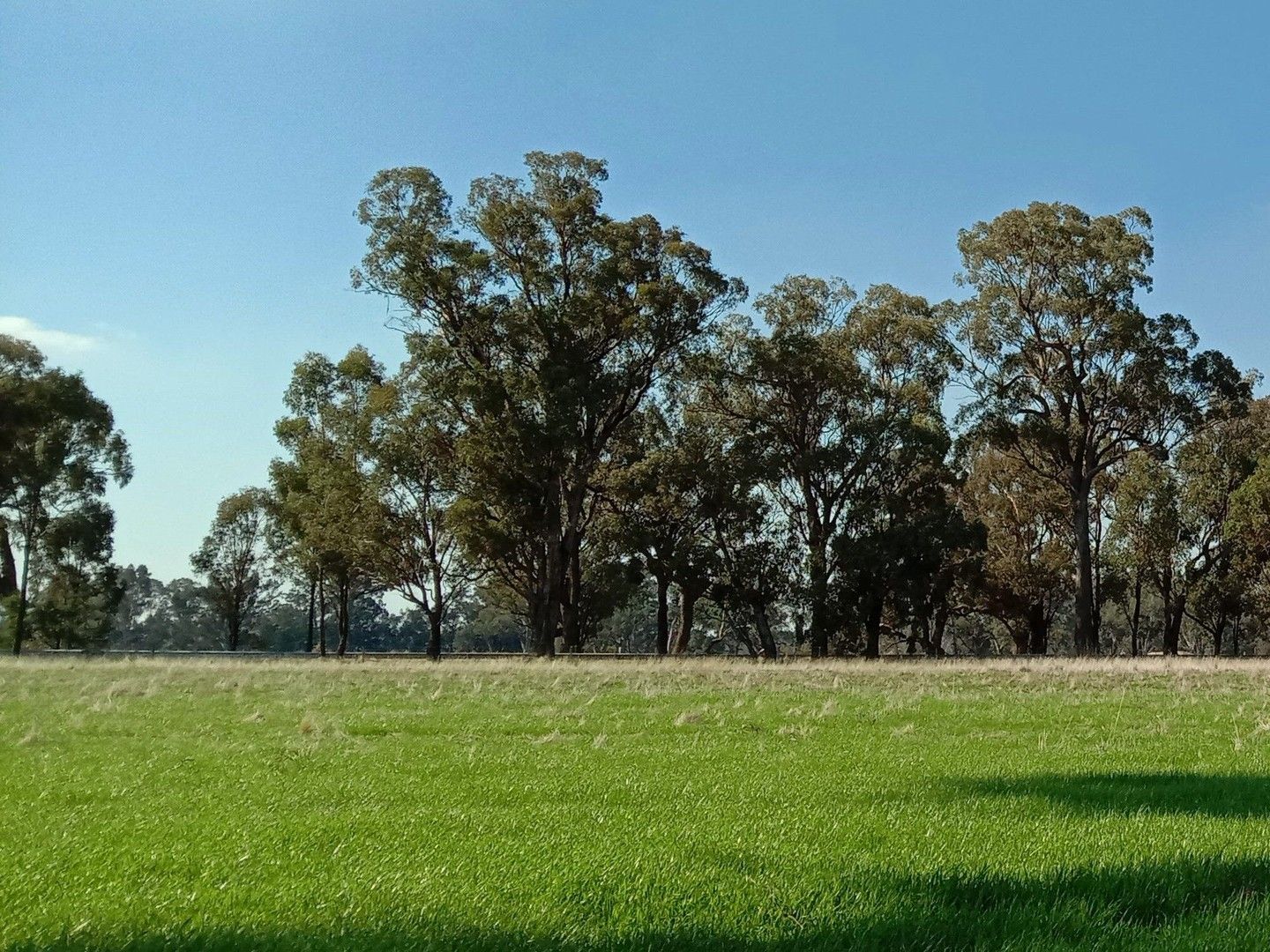 1129 EUROASHEPPARTON ROAD, Miepoll VIC 3666 Vacant Land for Sale