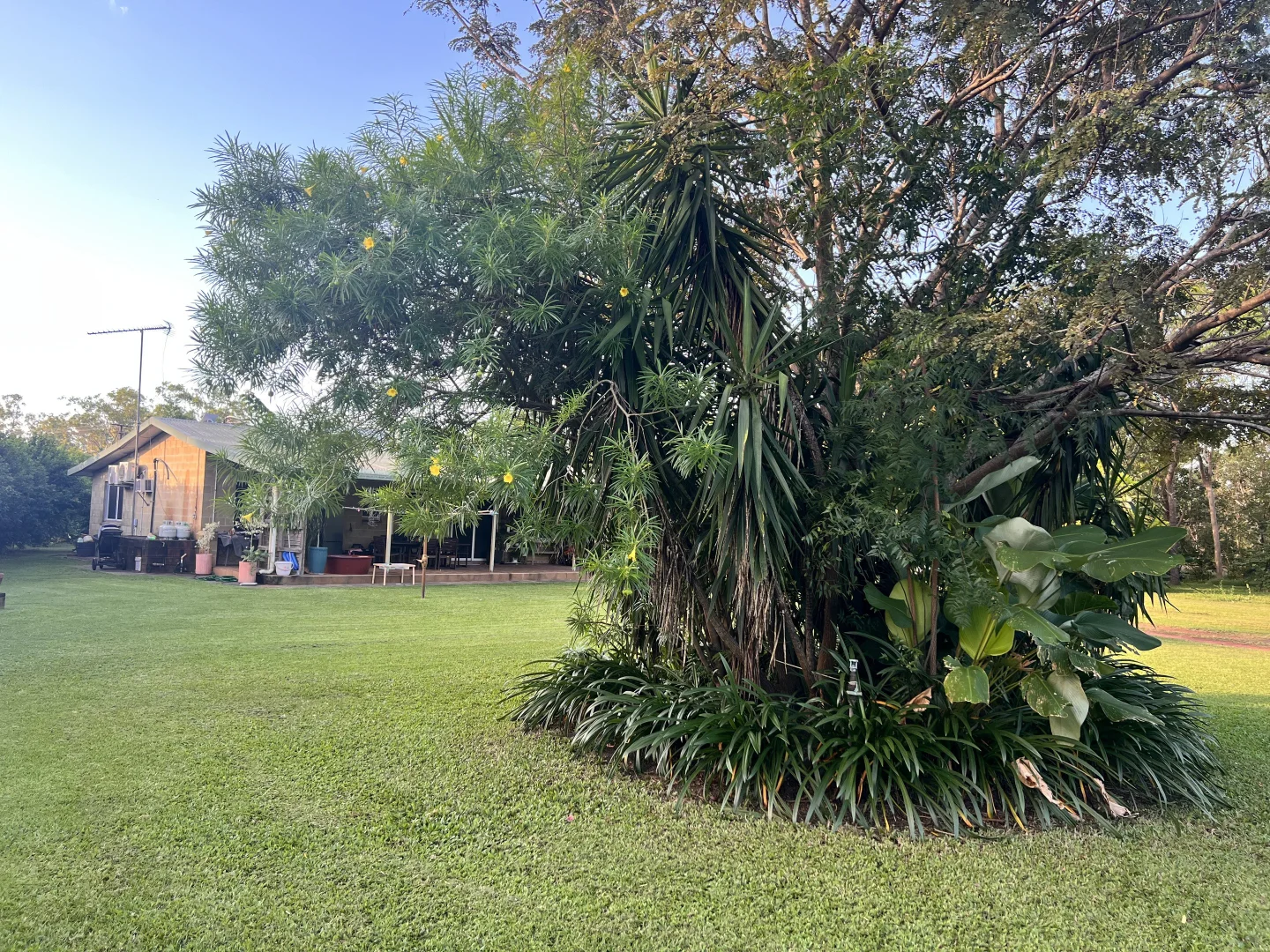 Image 23