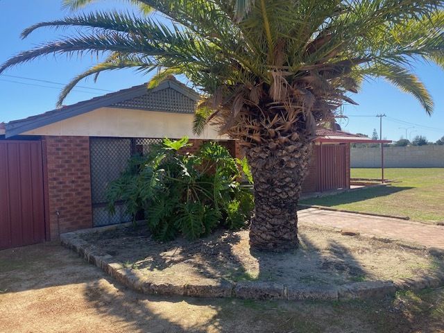 20 Larsson Walk, Clarkson WA 6030, Image 0