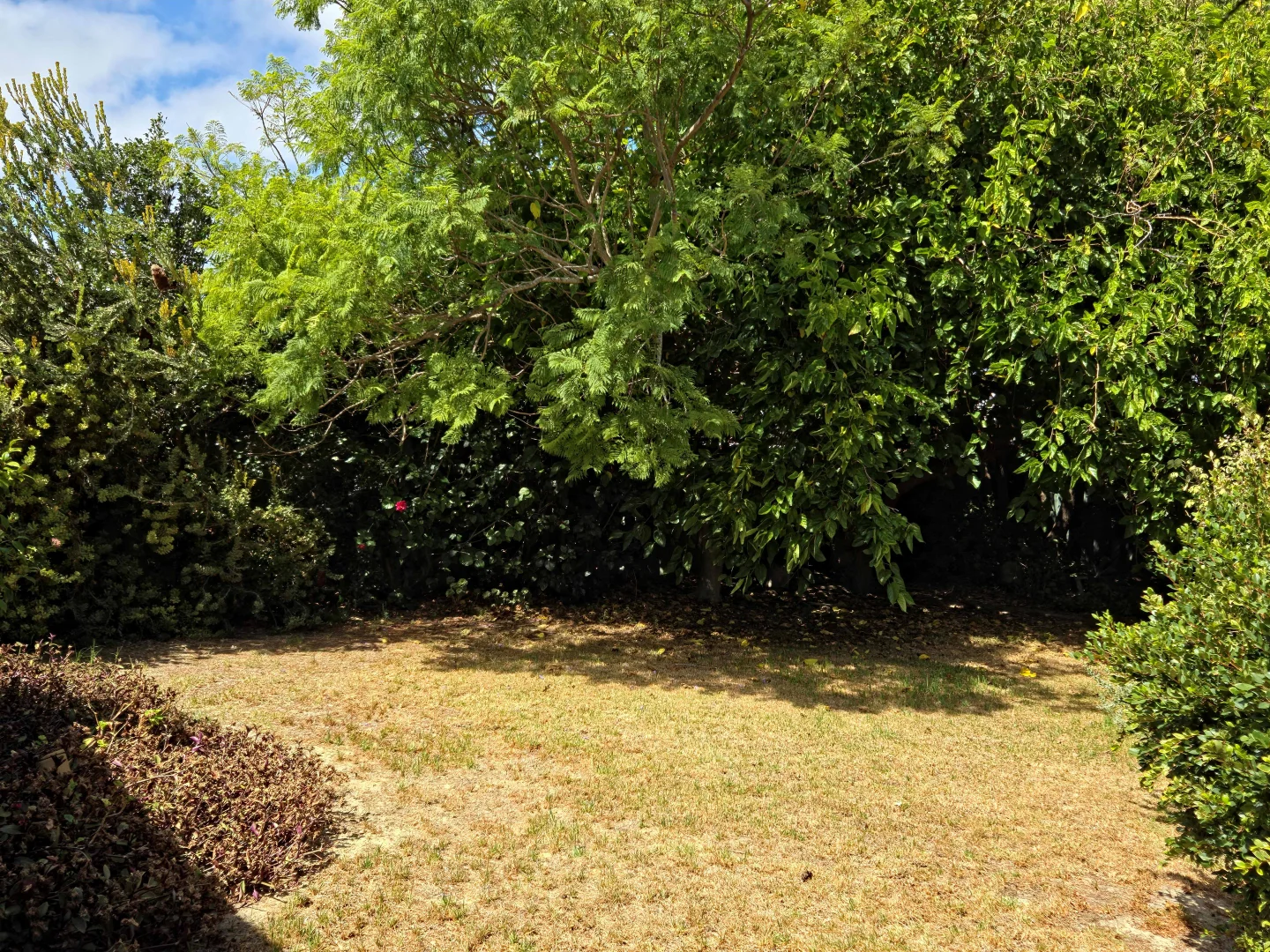 Additional image 51 of 17 Birdwood Street, Hopetoun WA 6348